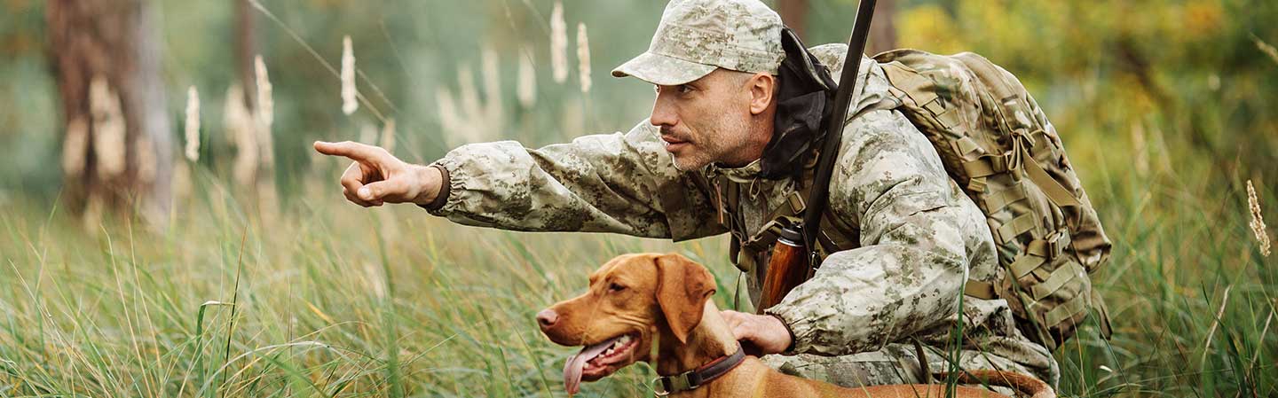 Effekt och användning