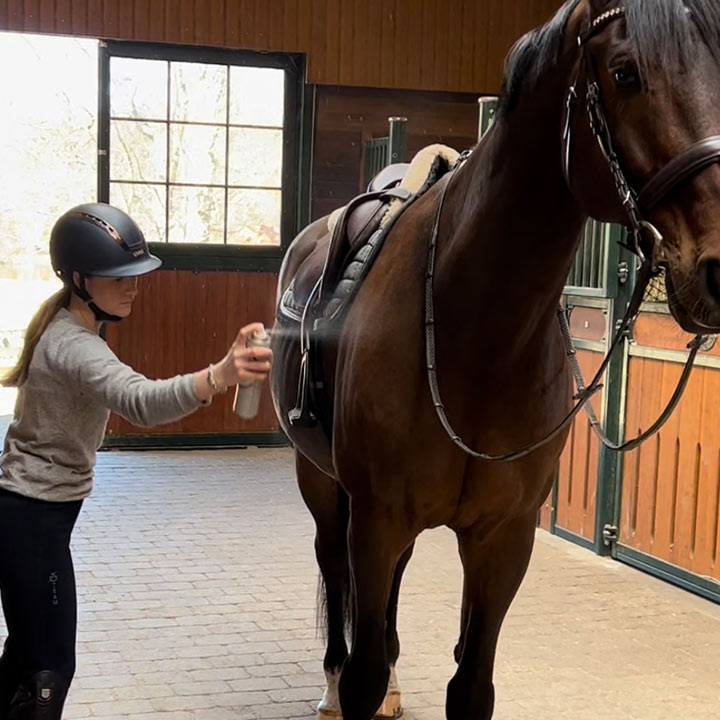 Hur du applicerar Centaura på din häst